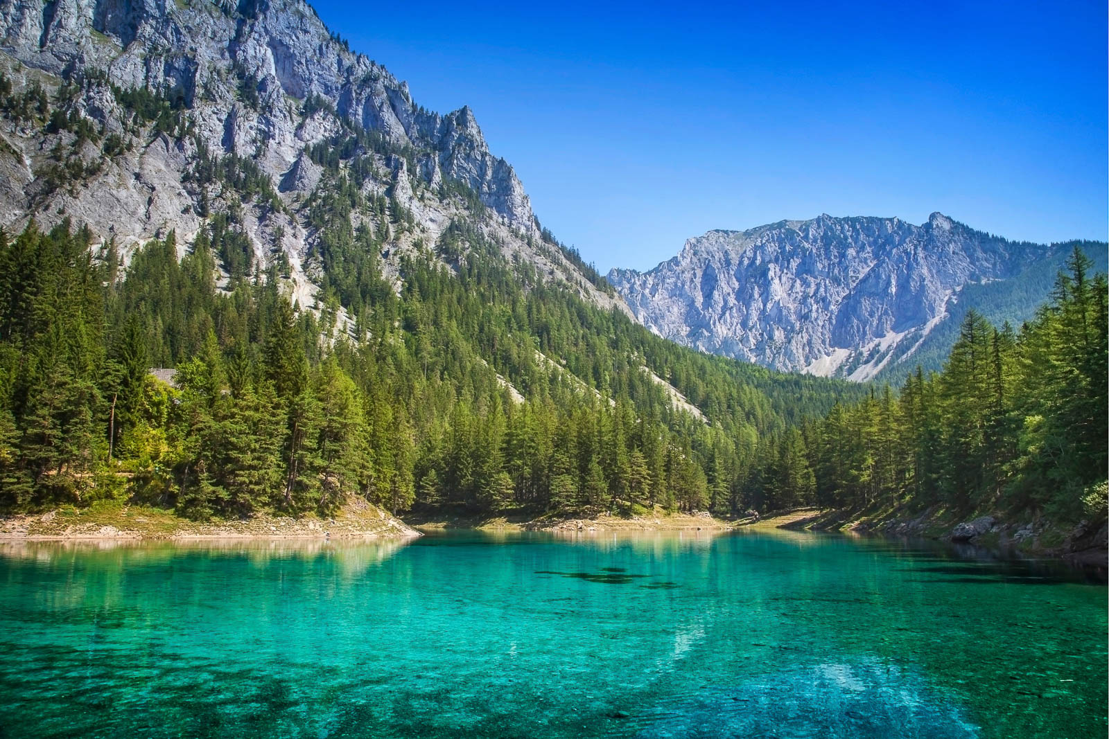 Pristine nature in the Alps